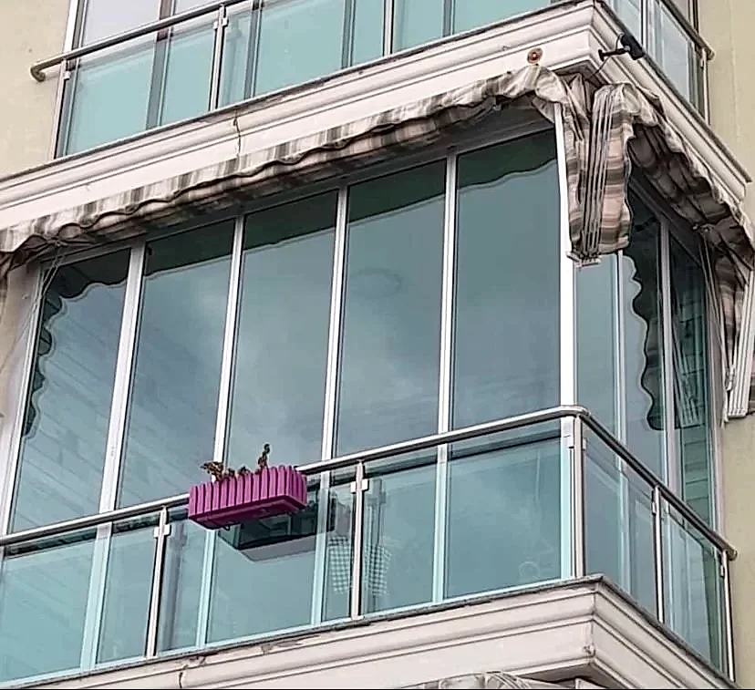 Sarıyer Cam Balkon